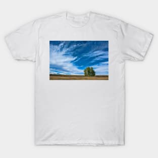 Blue Skies Sing Of Trees T-Shirt